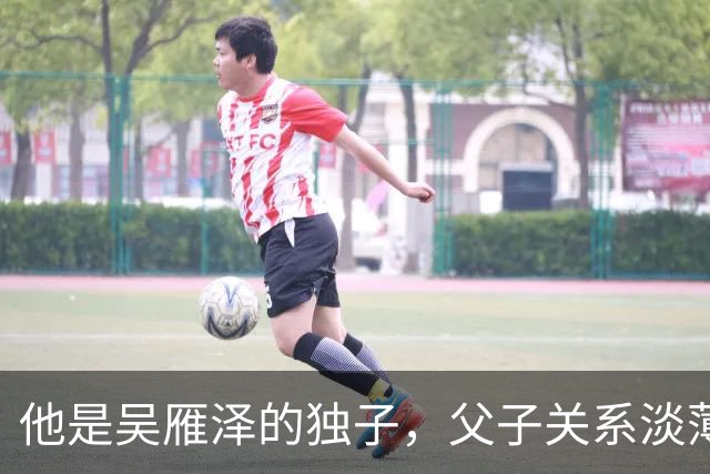 他是吴雁泽的独子，父子关系淡薄，与母亲定居温哥华，如今是律师