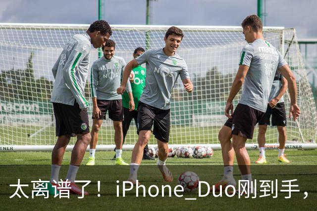太离谱了！iPhone Duo刚到手，就突然翻车