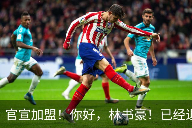 官宣加盟！你好，林书豪！已经退役整整1年时间