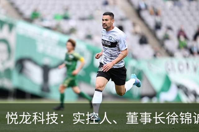 悦龙科技：实控人、董事长徐锦诚因公途中遇交通事故逝世