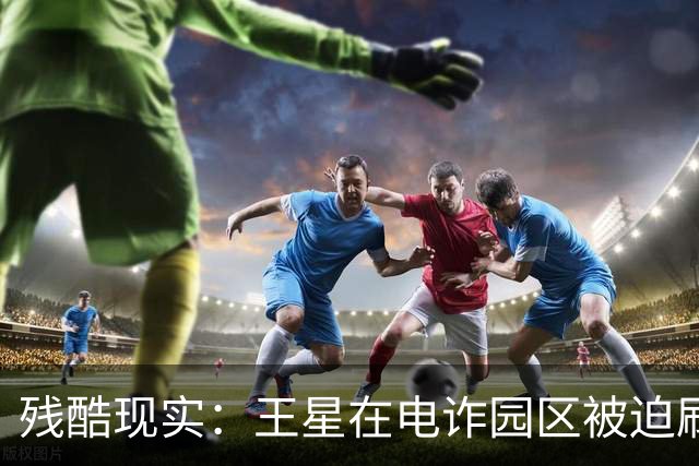 残酷现实：王星在电诈园区被迫刷脸借贷，被救1年多，仍分期还钱