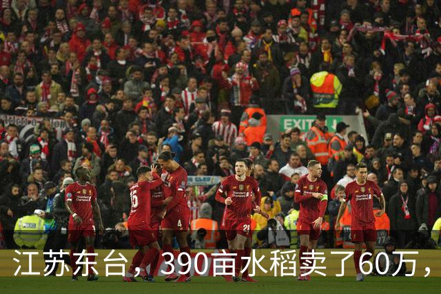 江苏东台，390亩水稻卖了60万，农户：成本49万，纯利润11万