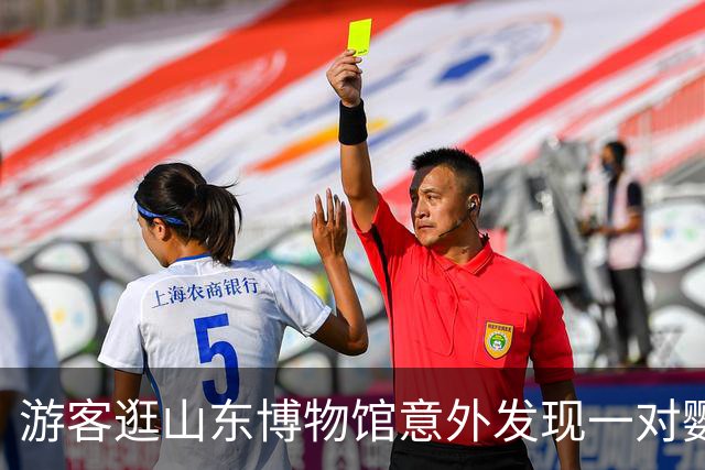 游客逛山东博物馆意外发现一对鹦鹉木雕神似奶龙，体态圆润颜色清澈，馆方：是旧时泰山旅店吸引香客的招幌