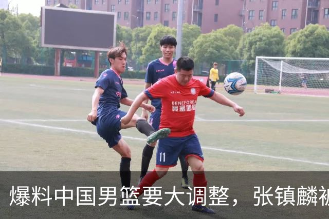 爆料中国男篮要大调整，张镇麟被称亚洲第一小前锋，帮郭士强晋级