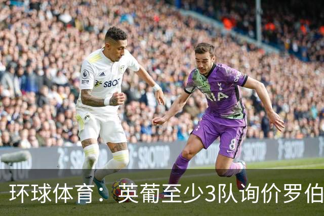 环球体育：英葡至少3队询价罗伯特-雷南，瓦斯科有信心留人