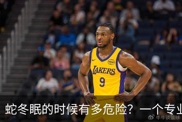蛇冬眠的时候有多危险？一个专业捕蛇人坦言：90% 的人根本想不到，蛇进入冬眠，它就可能变成老鼠的一顿大餐