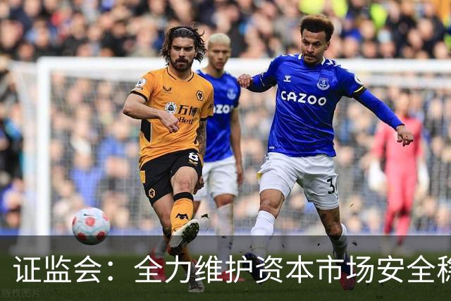 证监会：全力维护资本市场安全稳定