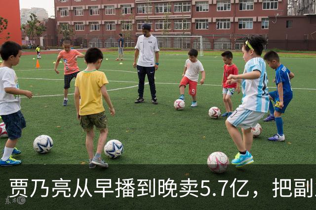 贾乃亮从早播到晚卖5.7亿，把副业干成了主业