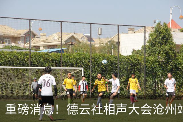 重磅消息！德云社相声大会沧州站演出直接取消，烧饼竟然登顶热搜了？