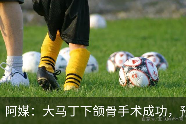 阿媒：大马丁下颌骨手术成功，预计将休战一个半月