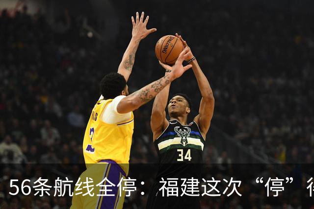 56条航线全停：福建这次“停”得比台风还快